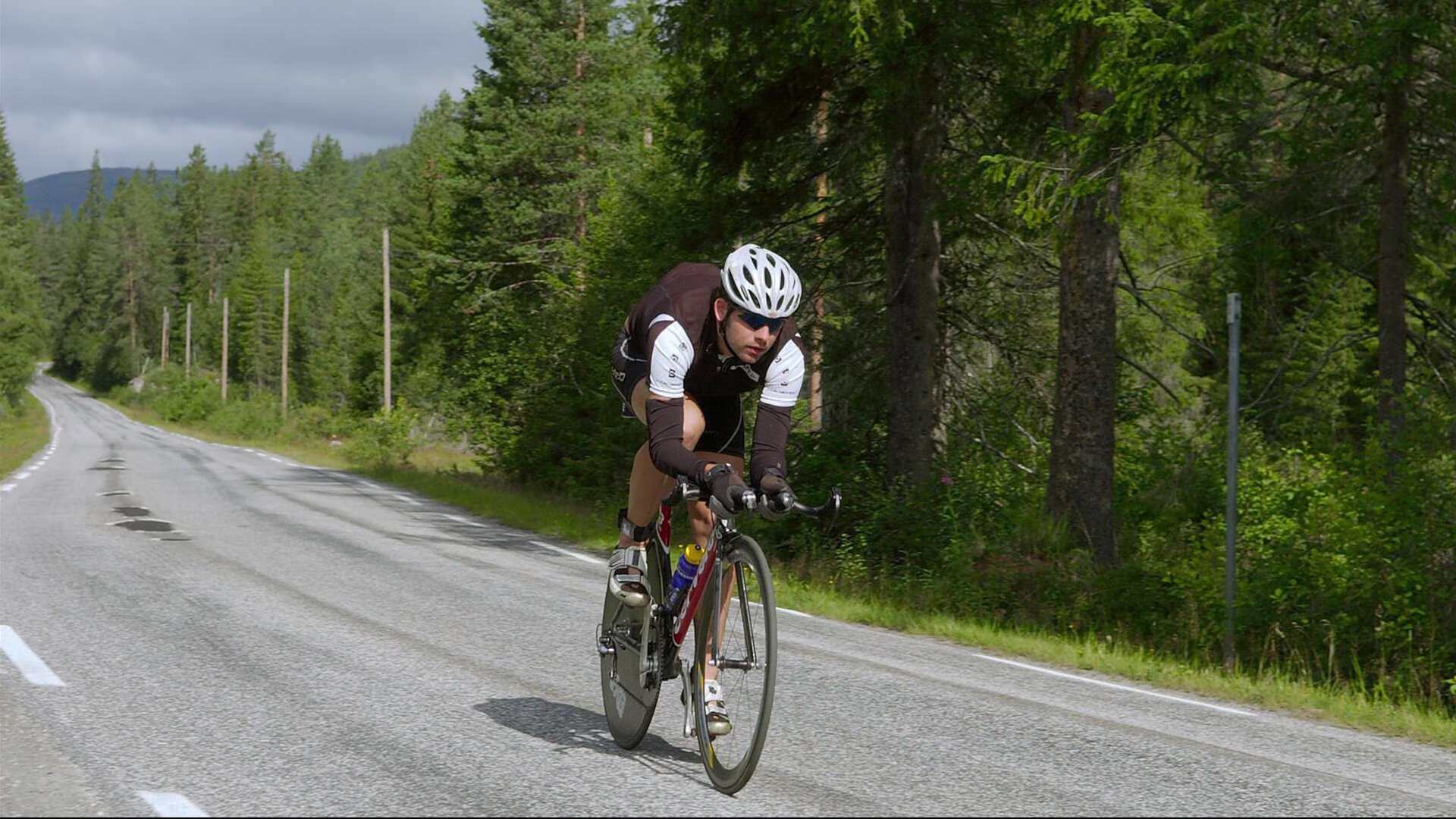 索赔绿色：国际赛场上的碳中和目标，中国绿色碳基金碳补偿标识